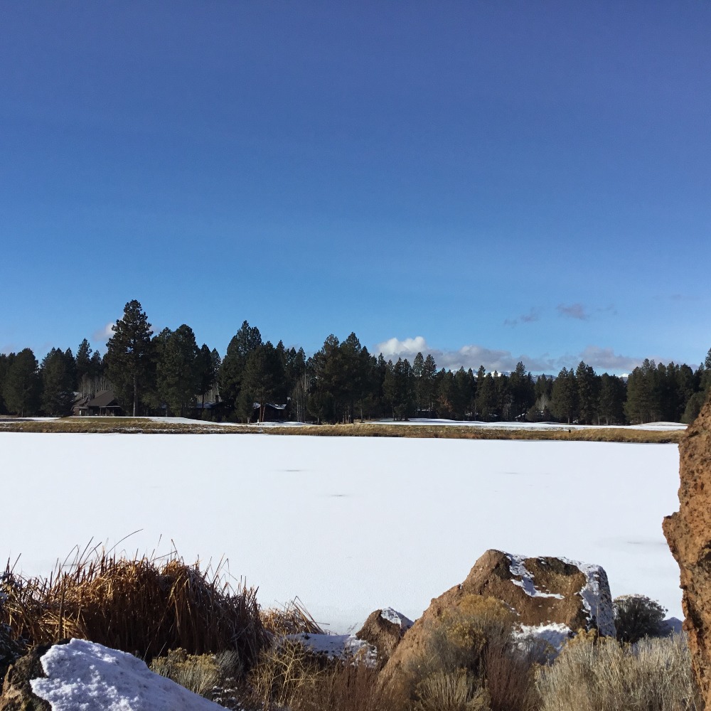 Meet your Posher, Anne